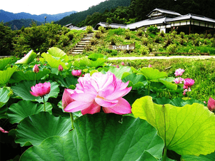 よふど温泉のイメージ