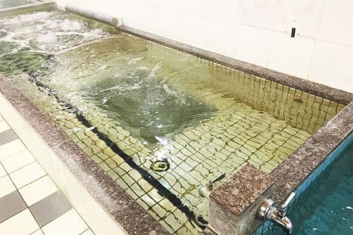 堤泉柳のイメージ