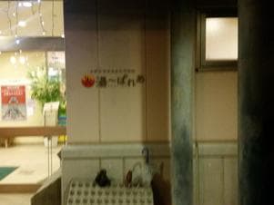 温湯温泉湯～ぱれあのイメージ