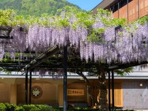 笹屋ホテルのイメージ