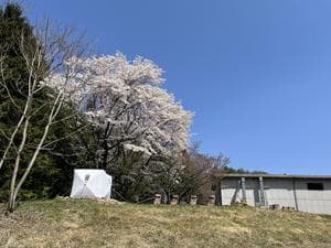 forest factory sauna (杜の工場サウナ)のイメージ