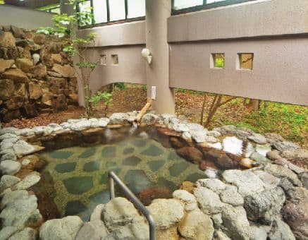 わかさぎ温泉笠置いこいの館のイメージ