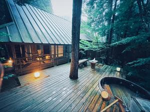 温泉山荘 だいこんの花のイメージ