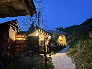 HOLY FUNGUSのイメージ