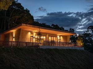 SOOTHE FORESTのイメージ