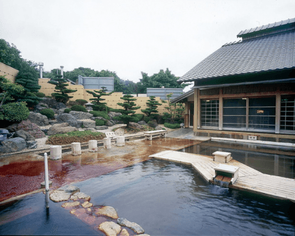 半田天然温泉 ごんぎつねの湯のイメージ