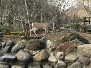 糠平館観光ホテルのイメージ