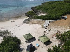 MONKEY PARK IKEMAのイメージ