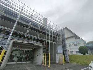 いやっし〜土佐のイメージ