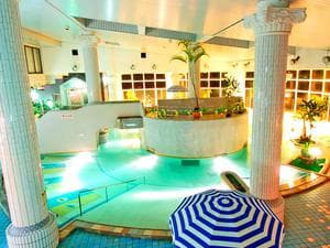 亀の井ホテルパークリゾート(阿蘇の司ビラパークホテル&スパリゾート)のイメージ