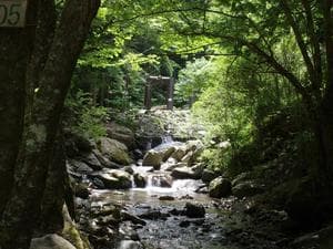 ボスコ・オート・キャンプ・ベースのイメージ