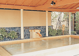 大垣コロナワールド天然温泉コロナの湯大垣店のイメージ