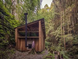 森のサウナのイメージ