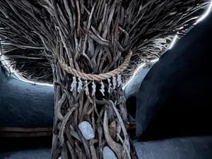 サウナ発達のイメージ