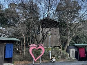 彩向陽のイメージ