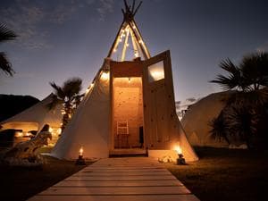 OASIS-OARAIのイメージ