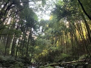 ほっこり堂のイメージ