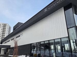 NEVER END LEOのイメージ