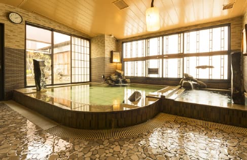天然温泉白鷺の湯ドーミーイン姫路のイメージ