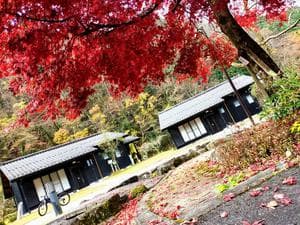 まるかりの里 久野川のイメージ