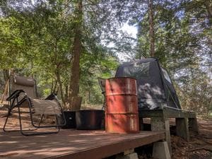 鹿児島市観光農業公園(グリーンファーム)のイメージ