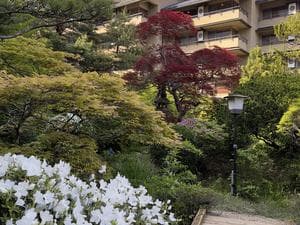 四季彩 一力のイメージ