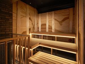 ニセコノーザンリゾート・アンヌプリ(ととのえ親方監修)のイメージ