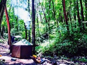 森の楽園ドラゴンサウナのイメージ