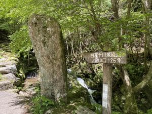 四万十源流の里のイメージ