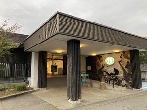 勝山天然温泉 水芭蕉のイメージ