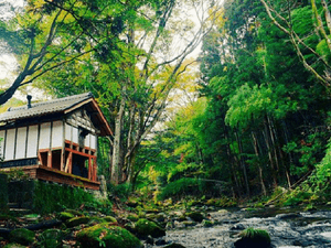 コアミガメのイメージ