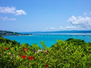 サウナにサンキューのイメージ