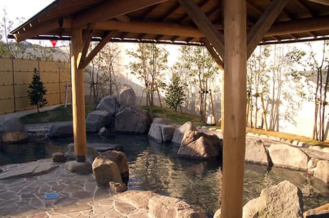 道の駅 蛍街道西ノ市 蛍の湯のイメージ