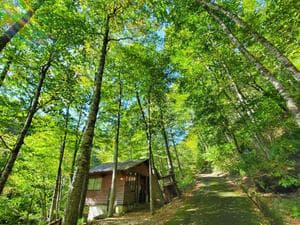 八東ふる里の森のイメージ