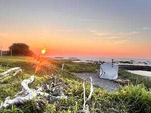 くじらロックテントサウナのイメージ