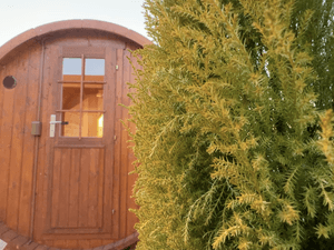 Sauna Sanctuaryのイメージ