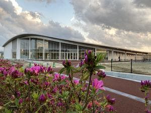 アザレアのイメージ