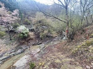 なめさわキャンプ村のイメージ