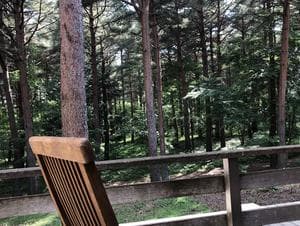 ふれあい交流センター大芝の湯のイメージ