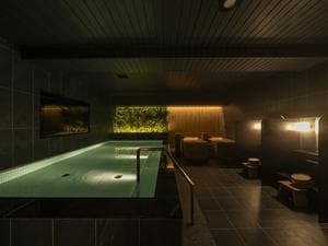 プラチナワンのイメージ