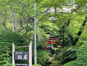 湯けむりの里 柏屋のイメージ