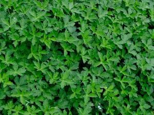 岐阜各務原 恵みの湯のイメージ