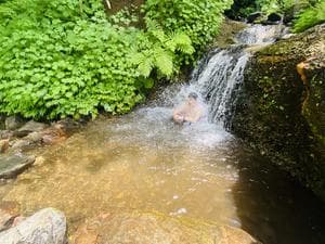 滝つぼサウナ(サンバードサウナガーデン)のイメージ