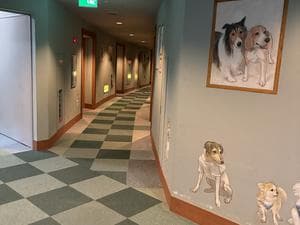 ほったらかしの宿 ゆうふり伊豆高原(旧:伊豆高原わんわんパラダイスコンドミニアム)のイメージ