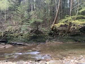 奥養老ヴィレッジ(旧奥養老バンガロー村)のイメージ