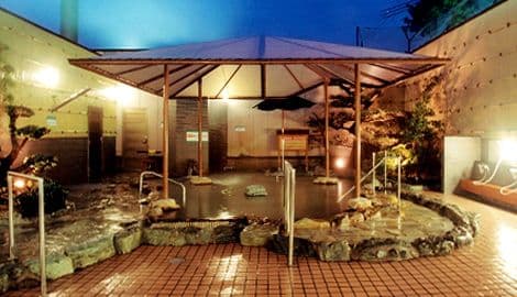 鹿之子温泉からとの湯のイメージ