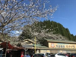 たぬき湯のイメージ