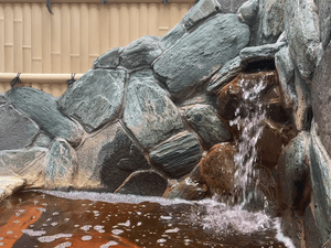 ヘルシーバスニュー栄のイメージ