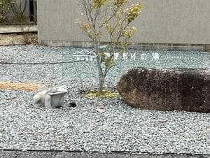 草山温泉 やまもりの湯(旧観音湯)のイメージ