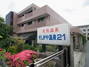 そしがや温泉21のイメージ